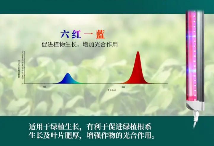 六红一?png