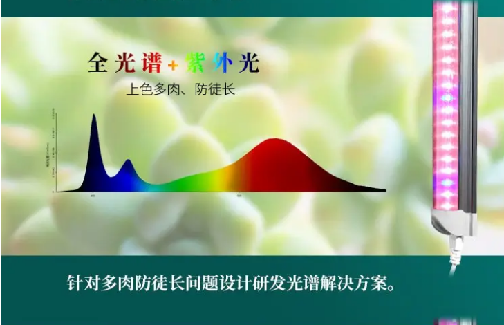 全光?紫外U?png