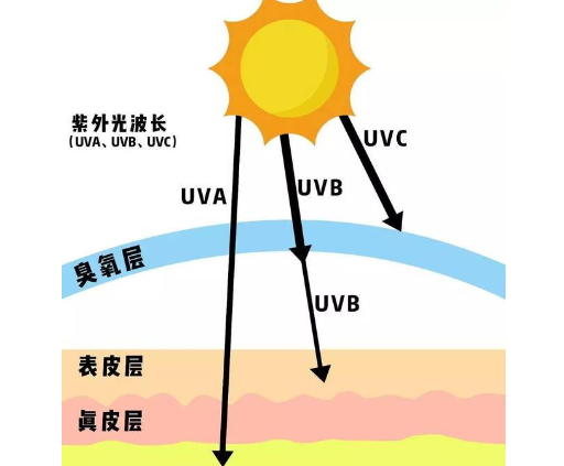 紫外U分c?png