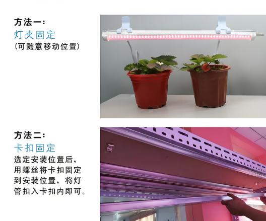 植物灯管使用Ҏ(gu).png